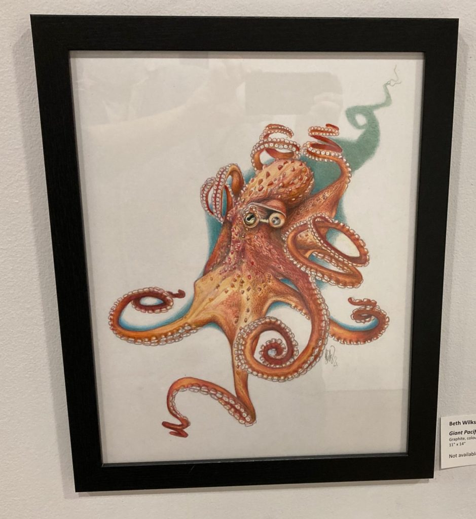 Giant Pacific Octopus (Enteroctopus Dofleini), 2021