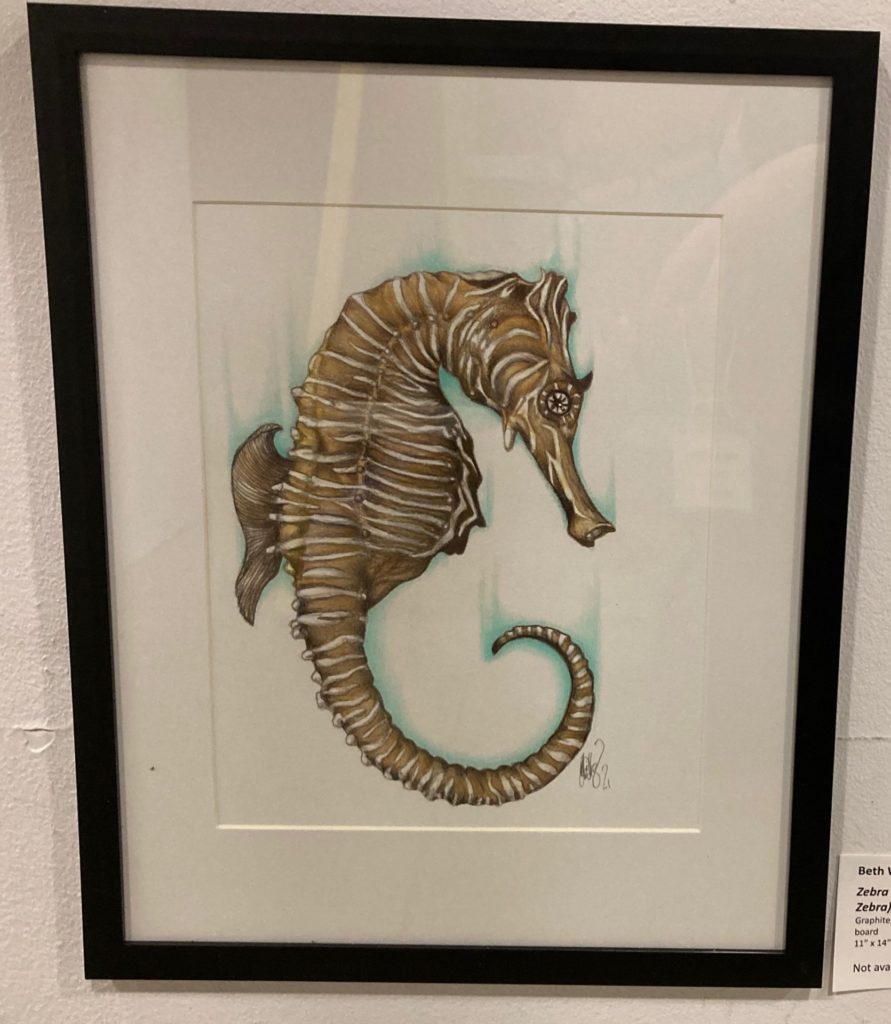 Zebra Seahorse (Hippocampus Zebra), 2021