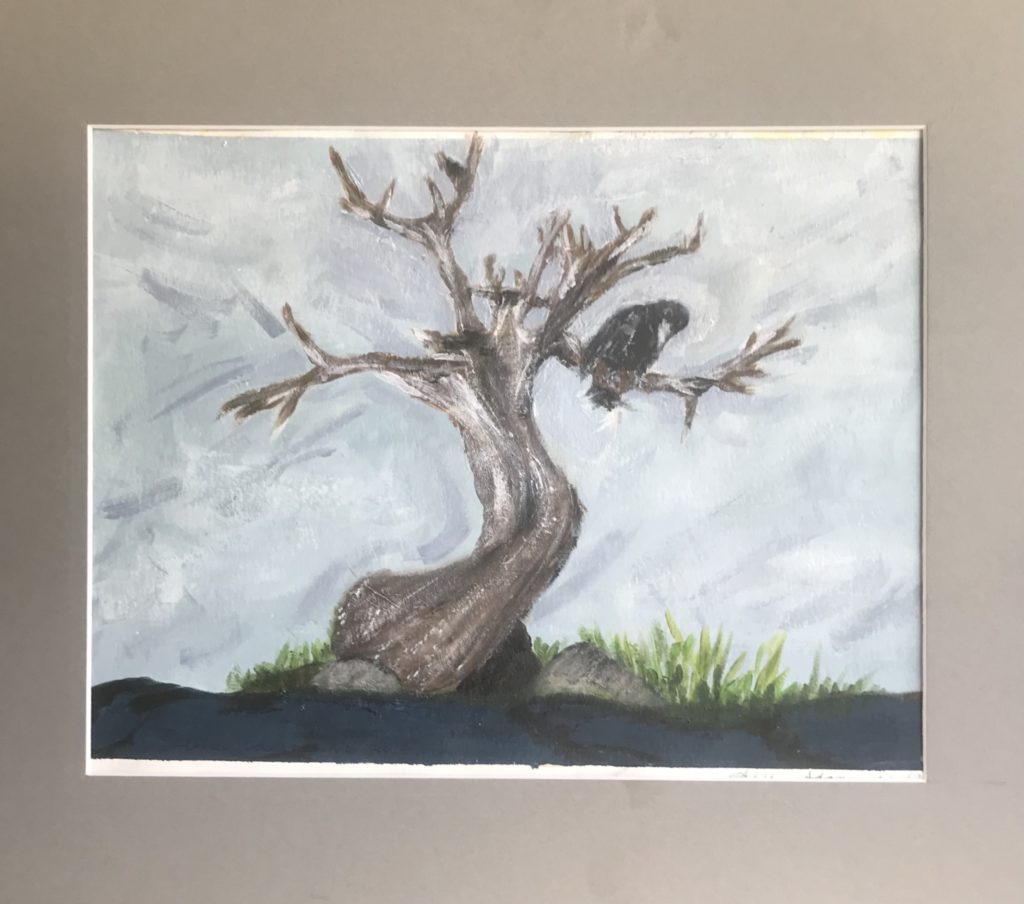 Crow on Old Tree Reflecting Shadow Season, 2020