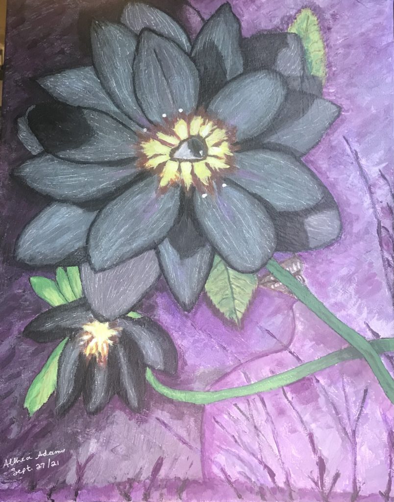 Black Lotus Flower – The Rise, 2021