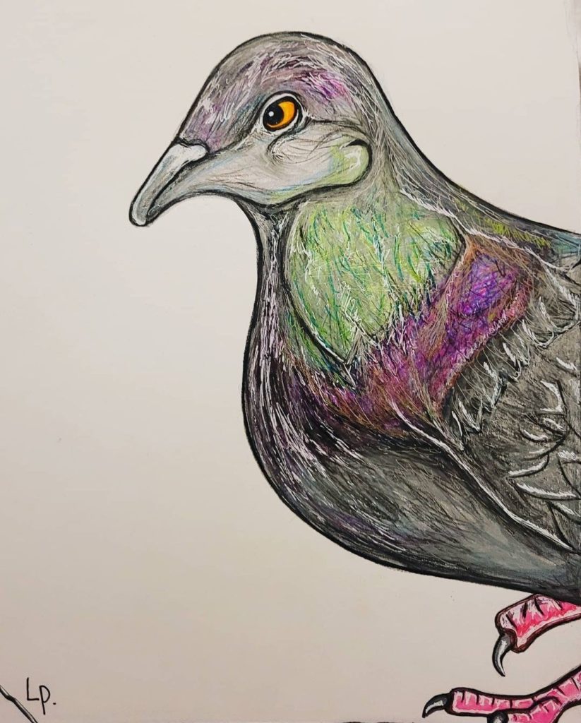Pigeon Love, 2020