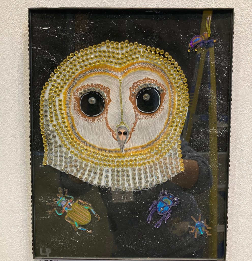 Owl on Drugs, 2018